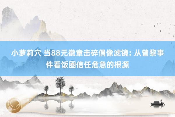 小萝莉穴 当88元徽章击碎偶像滤镜: 从曾黎事件看饭圈信任危急的根源