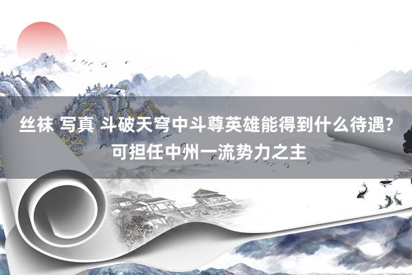 丝袜 写真 斗破天穹中斗尊英雄能得到什么待遇? 可担任中州一流势力之主