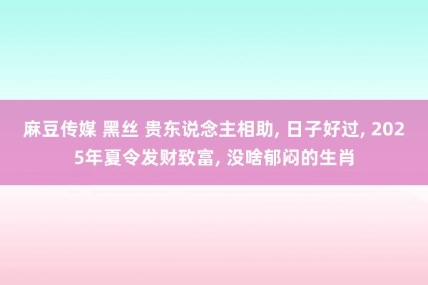 麻豆传媒 黑丝 贵东说念主相助， 日子好过， 2025年夏令发财致富， 没啥郁闷的生肖