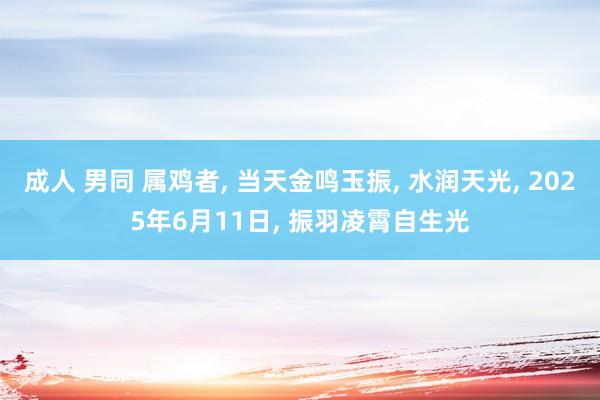 成人 男同 属鸡者， 当天金鸣玉振， 水润天光， 2025年6月11日， 振羽凌霄自生光